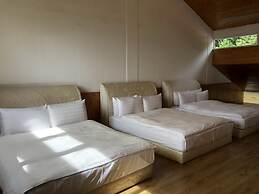 Cingjing Brilliant Twins of Seattle