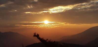 Cingjing Brilliant Twins of Seattle