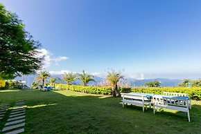 Cingjing Brilliant Twins of Seattle