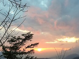 Cingjing Brilliant Twins of Seattle