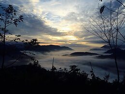 Cingjing Brilliant Twins of Seattle