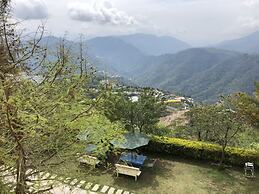 Cingjing Brilliant Twins of Seattle