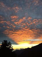 Cingjing Brilliant Twins of Seattle