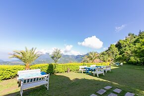 Cingjing Brilliant Twins of Seattle