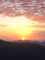 Cingjing Brilliant Twins of Seattle