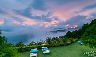 Cingjing Brilliant Twins of Seattle