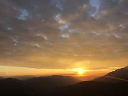 Cingjing Brilliant Twins of Seattle