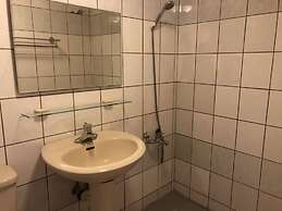 Cingjing Brilliant Twins of Seattle