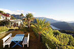 Cingjing Brilliant Twins of Seattle