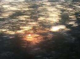 Cingjing Brilliant Twins of Seattle