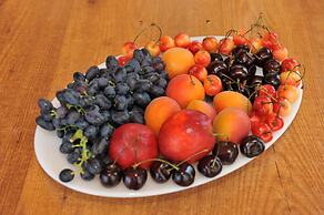 Maritime Hotel Aparts