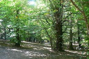 Hotel Da Franco Relax & Pool