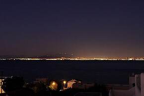 Blue Dolphin Studios & Apartment