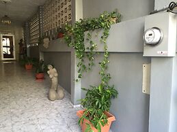 Tropical Bed & Breakfast