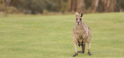 Lake Crackenback Resort & Spa