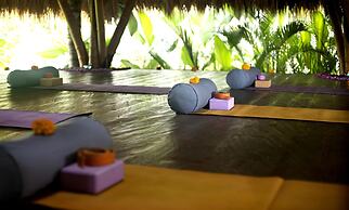 Blue Karma Dijiwa Ubud