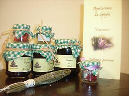 Agriturismo Le Spighe