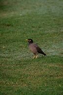 Rajmahal Palace RAAS