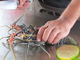 Pleasant View Resort