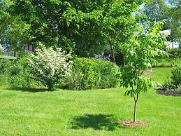 The Nelson House Bed & Breakfast