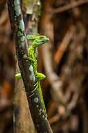 Tifakara Boutique Hotel & Birding Oasis