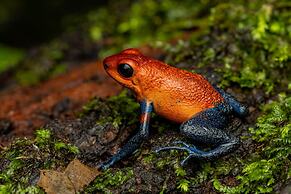 Tifakara Boutique Hotel & Birding Oasis