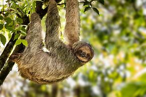 Tifakara Boutique Hotel & Birding Oasis