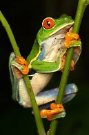 Tifakara Boutique Hotel & Birding Oasis