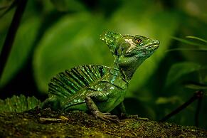 Tifakara Boutique Hotel & Birding Oasis