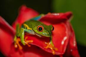 Tifakara Boutique Hotel & Birding Oasis