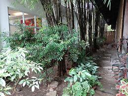 Greenspace Palawan Hotel