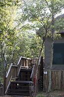 Honeyguide Ranger Camp