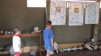 Honeyguide Ranger Camp