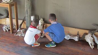 Honeyguide Ranger Camp