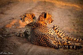 Honeyguide Ranger Camp