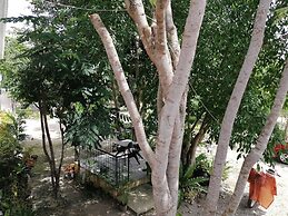 Almira Diving Resort