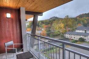 Courtyard by Marriott Gatlinburg Downtown
