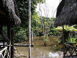 Jungle Wolf Expeditions