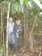 Jungle Wolf Expeditions