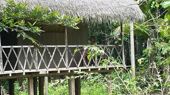 Jungle Wolf Expeditions
