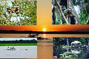 Jungle Wolf Expeditions
