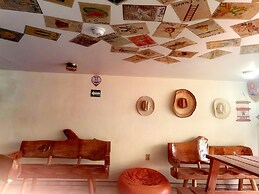 The Roof Backpackers Hostel