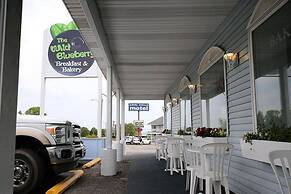 Aurora Borealis Motel