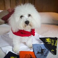 McMenamins Crystal Hotel