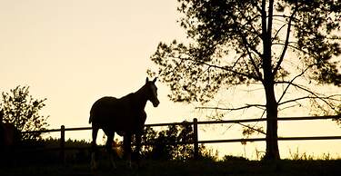 Country House at Kay & Monty