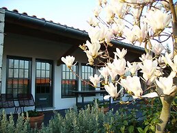 Casa de Santo António de Britiande