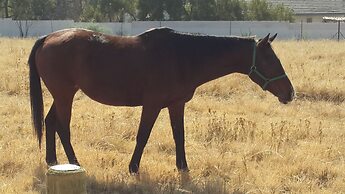 Lanseria Country Estate