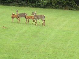 Bayview Pines Country Inn