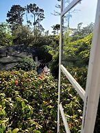 The Vagabond's House