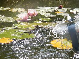 Agriturismo Poggio Alle Lame